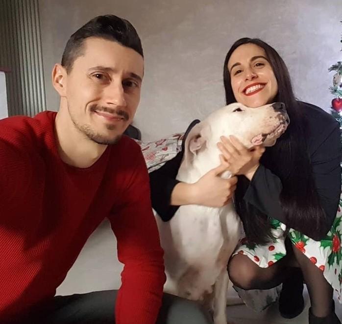 Ferrara. Una famiglia per il dogo maltrattato: due anni in canile e ora finalmente una casa 