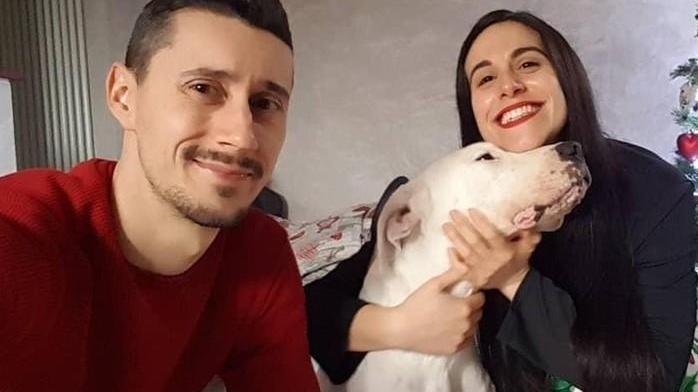 Ferrara. Una famiglia per il dogo maltrattato: due anni in canile e ora finalmente una casa