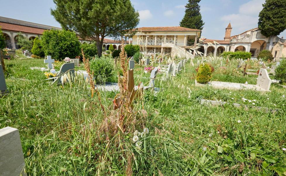 Cimitero di S.Andrea, le tombe nascoste dall’erba troppo alta