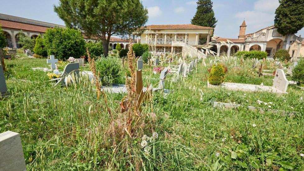 Cimitero di S.Andrea, le tombe nascoste dall’erba troppo alta