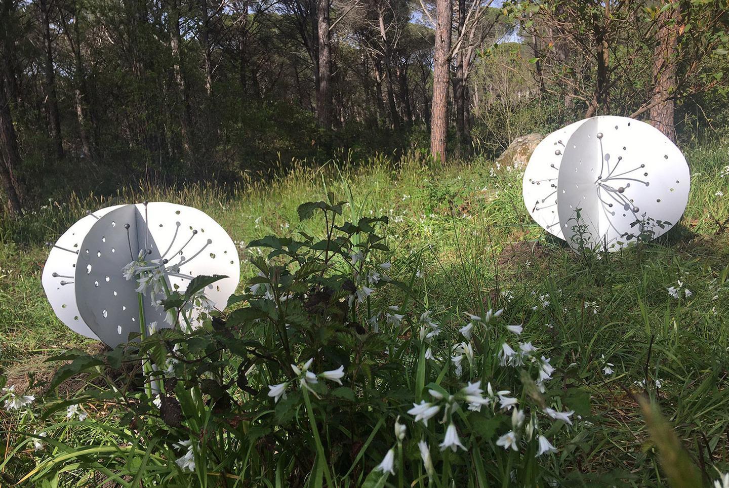 Arte contemporanea nel bosco del Limbara