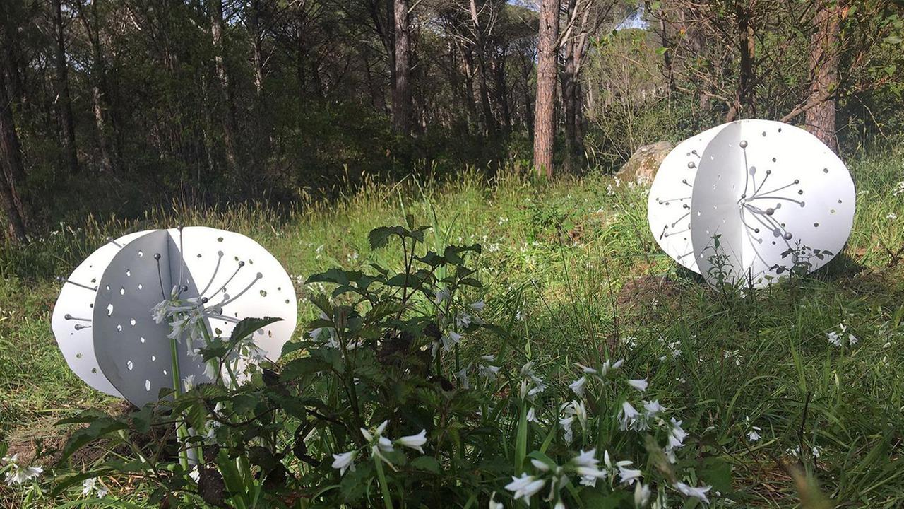 Arte contemporanea nel bosco del Limbara