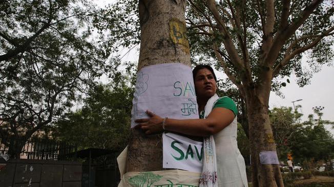 In India si torna ad abbracciare gli alberi per salvarli