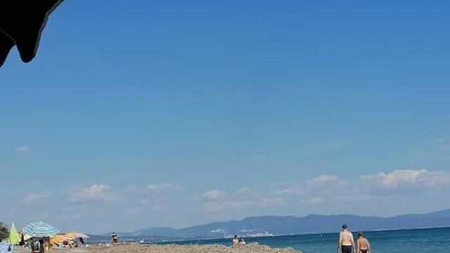 La sabbia coperta dai banchi di posidonia