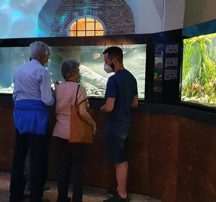 I pesci di fiume protagonisti nella nuova sala dell’Acquario 