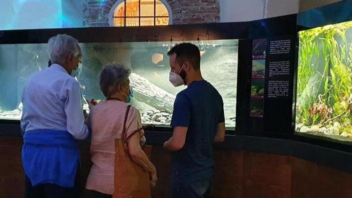 I pesci di fiume protagonisti nella nuova sala dell’Acquario