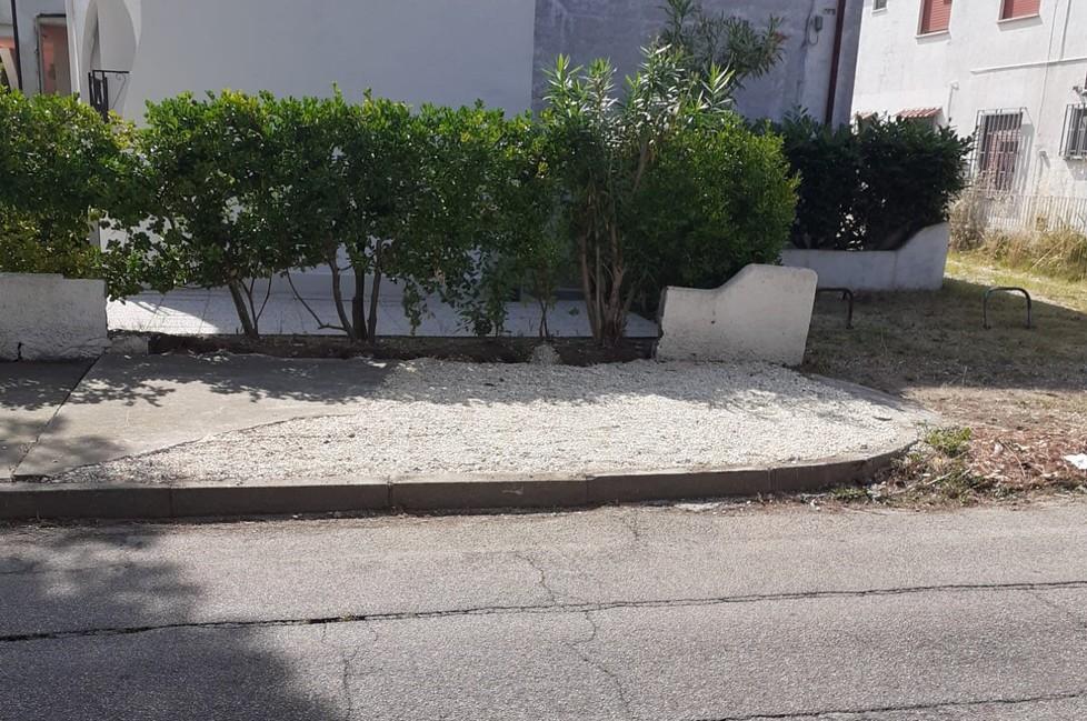 Tronco tolto e asfalto nuovo