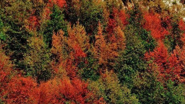 Webinar pubblico sul Parco per i primi 20 anni di attività