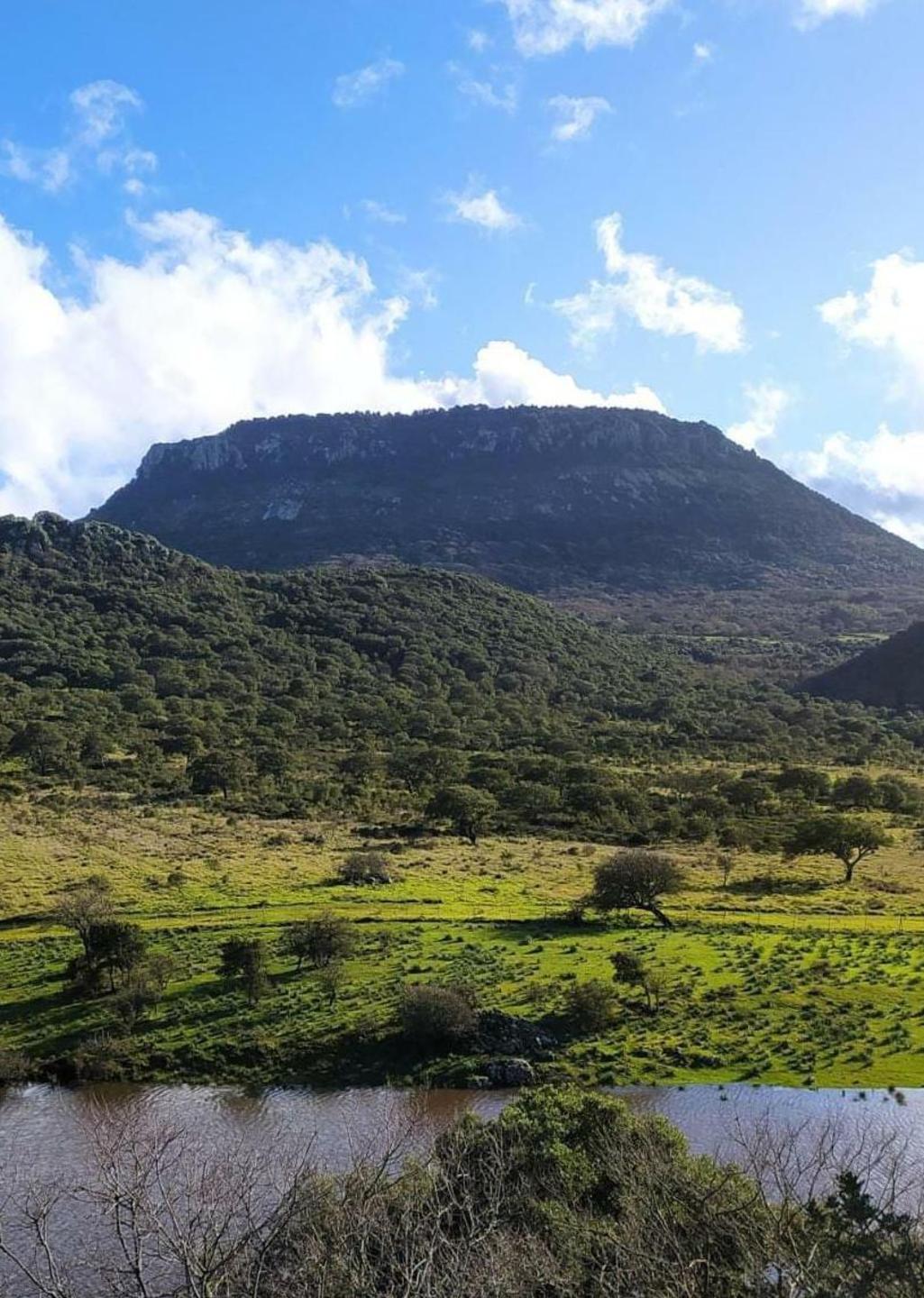 Cinque Comuni finanziano dodici master per i loro giovani