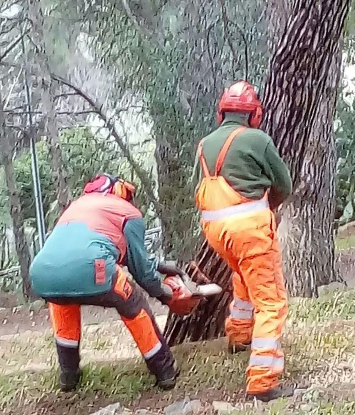 Forestas, due sindacati in piazza 