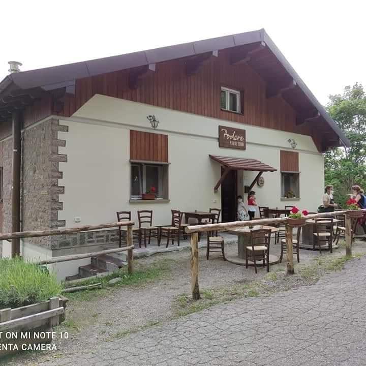 Un futuro fra terapia forestale, birra di aghi di abete e apicoltura 