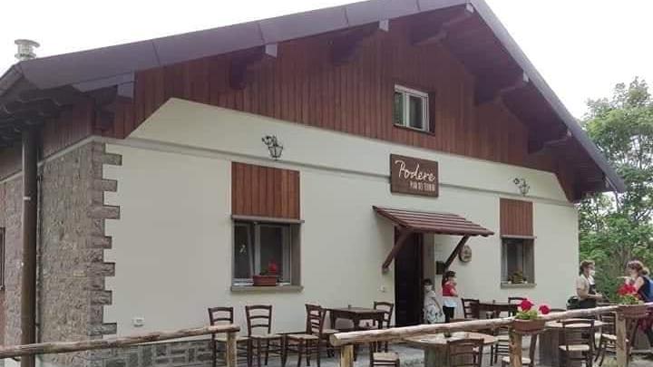 Un futuro fra terapia forestale, birra di aghi di abete e apicoltura