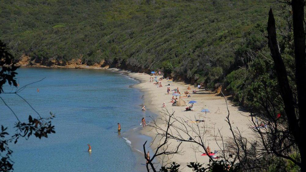 Cala Violina