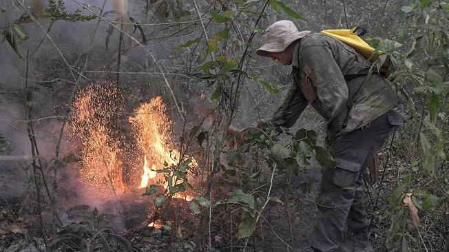 Amazzonia: ong, a maggio deforestazione aumentata del 70%