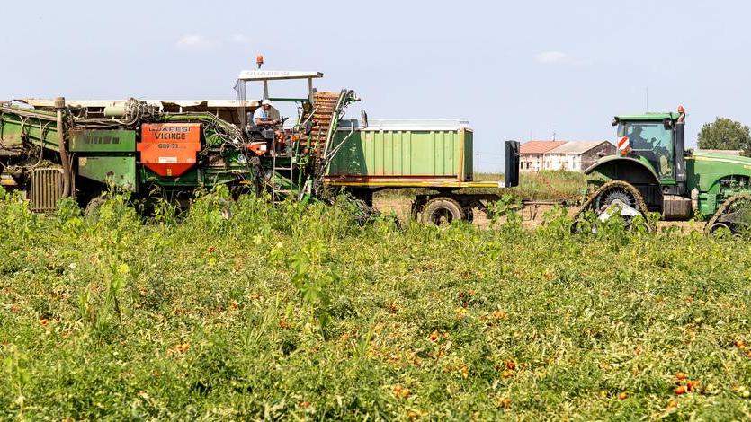 Oltre 70 ettari di terra da coltivare per i giovani