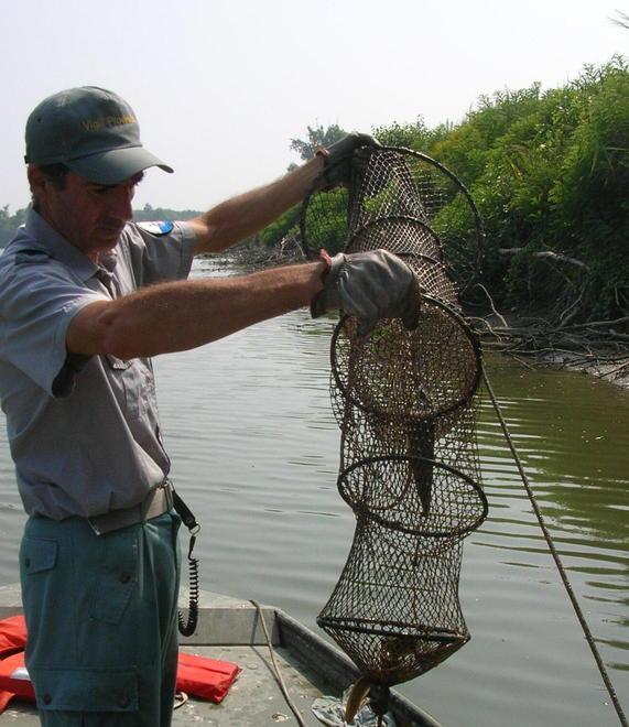 Durante il coprifuoco andavano a pesca Diciassette multati