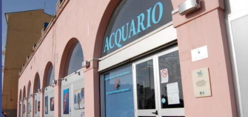Acquario, in vent’anni 400mila visitatori «Traguardo eccellente»