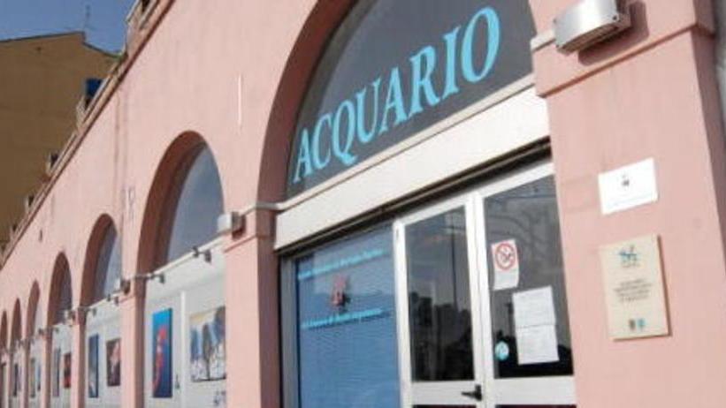 Acquario, in vent’anni 400mila visitatori «Traguardo eccellente»