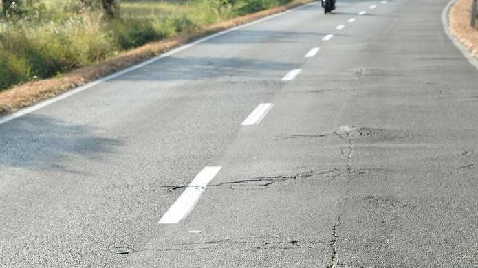 Radici e asfalto a pezzi «Sulla Scarlinese pericolo in agguato»