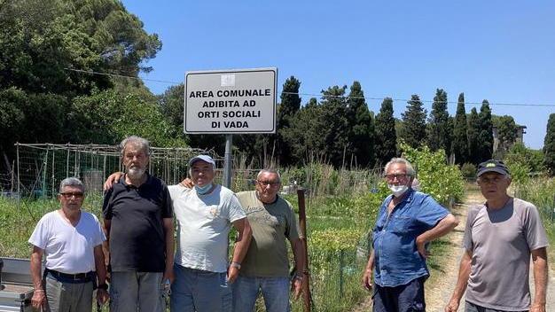 Gli orti comunali lasciati senz’acqua «Ingiusto far morire le nostre colture»