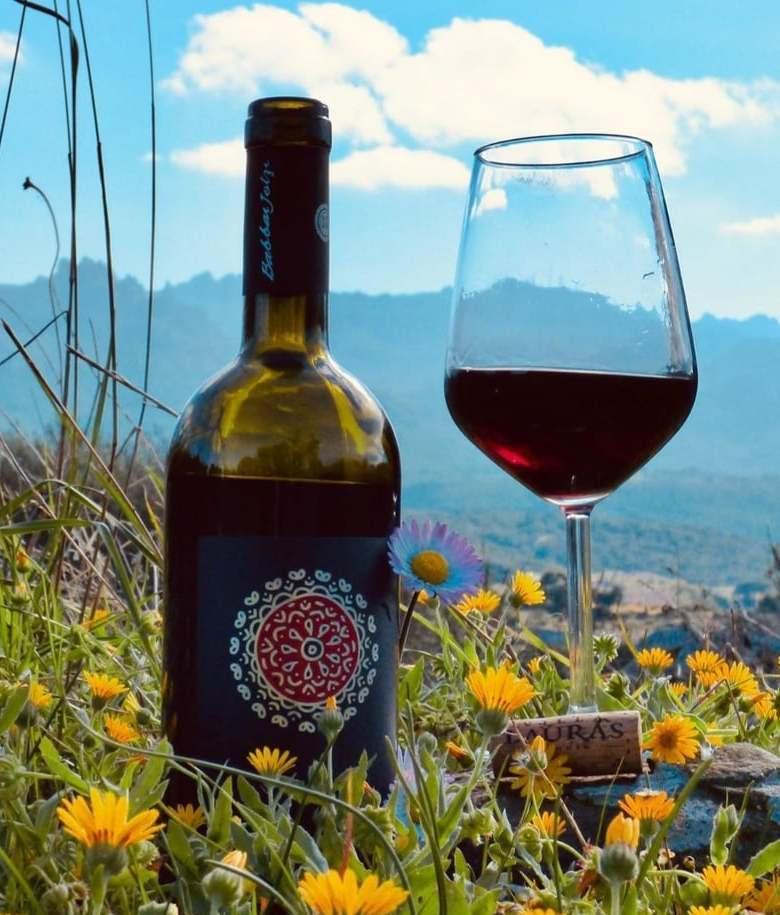 Luccicano d’oro le Tenute Lauras 