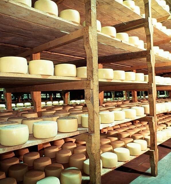 Formaggio a famiglie bisognose, la Regione invita gli allevatori