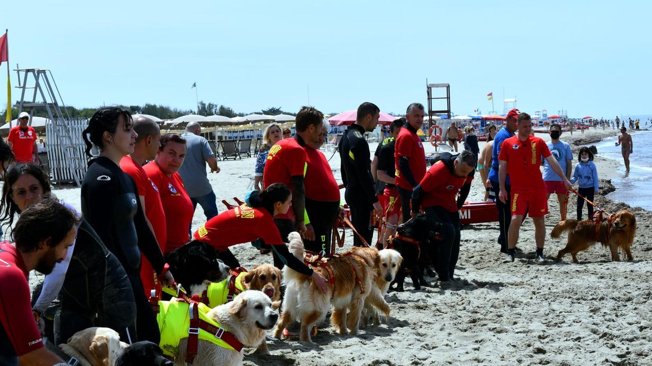 I bagnini dell'unità cinofila di salvataggio nautico