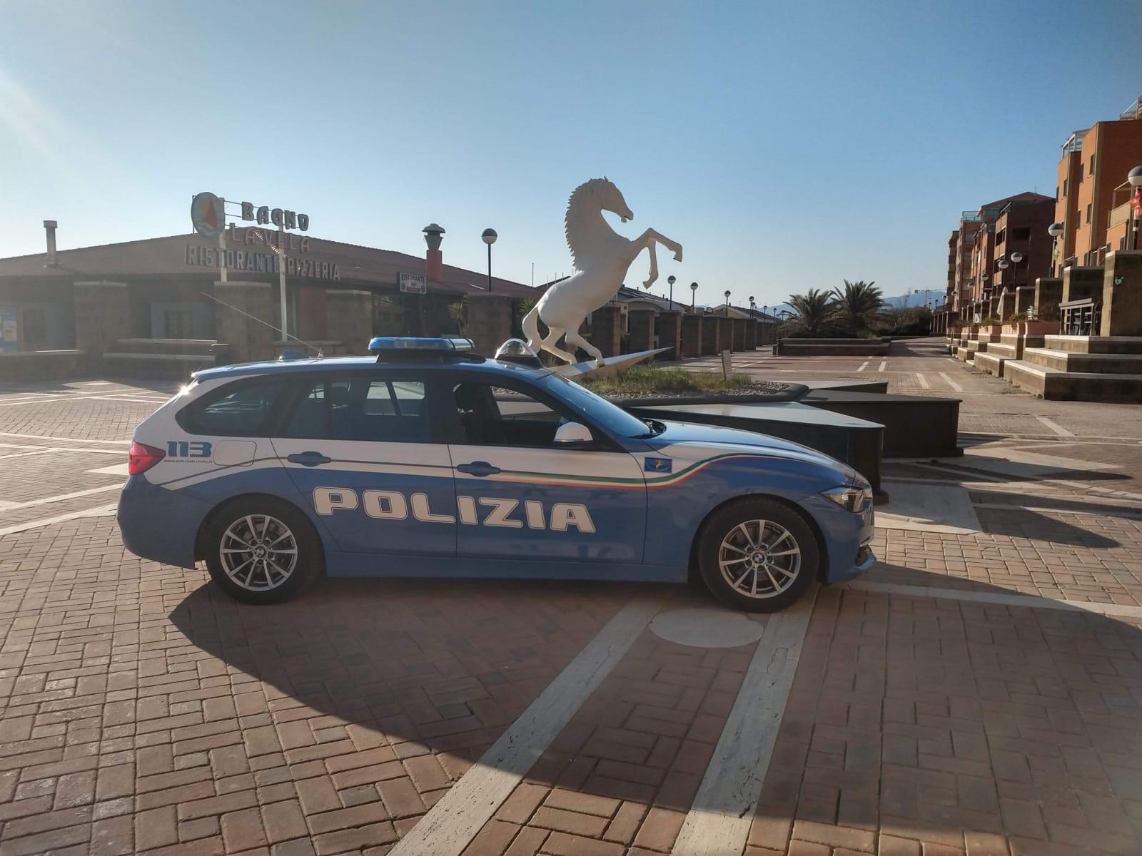 Traffico di cani dall'estero e falsi incidenti: 11 indagati