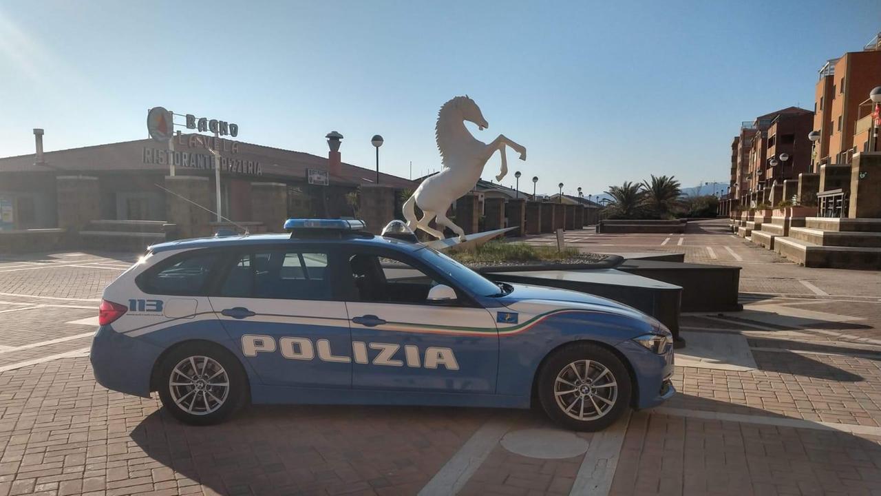 Traffico di cani dall'estero e falsi incidenti: 11 indagati