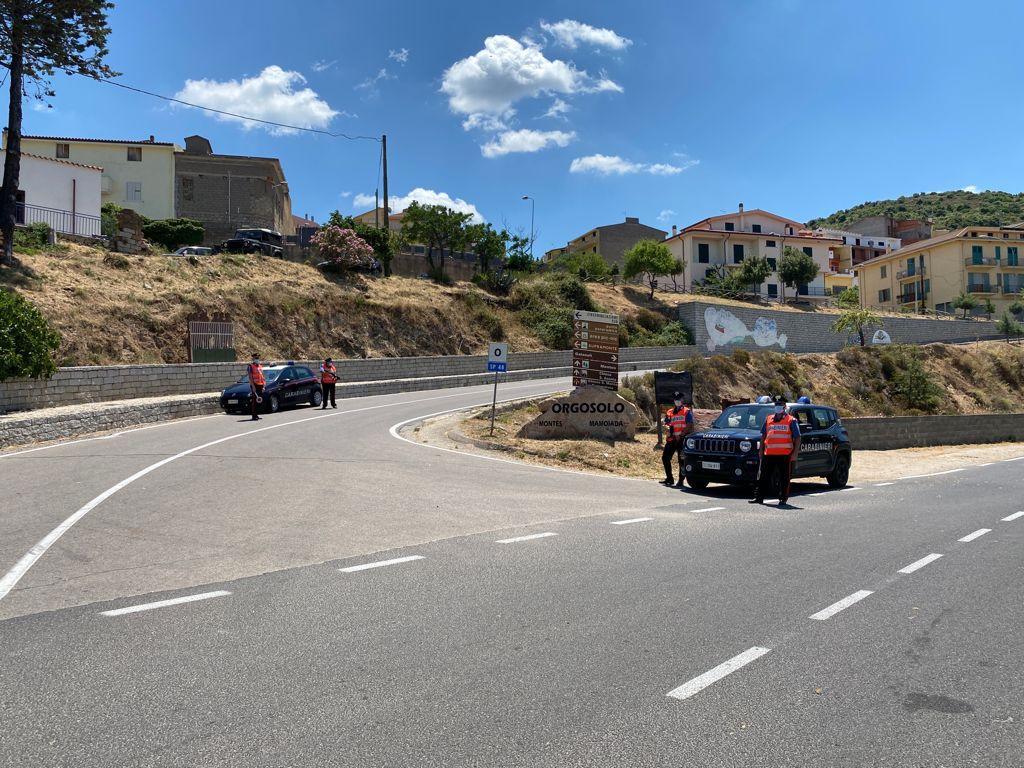 Marijuana in garage a Orgosolo: rigettato il ricorso in Cassazione, i fratelli Mesina arrestati di nuovo