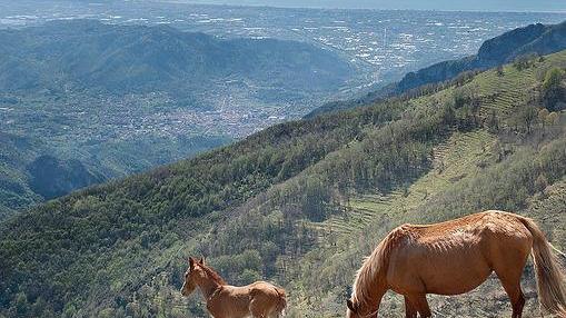 «Senza collegamenti non cresceremo Valutiamo il tunnel»