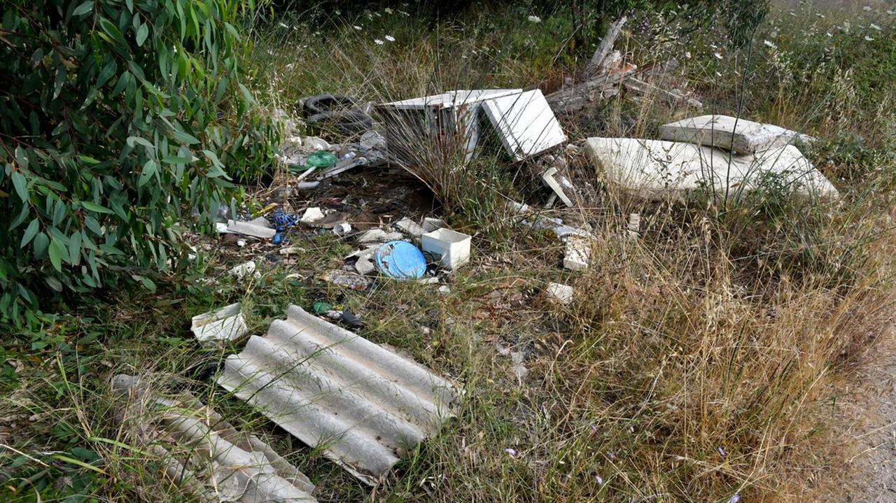 Discarica pericolosa ed erba alta