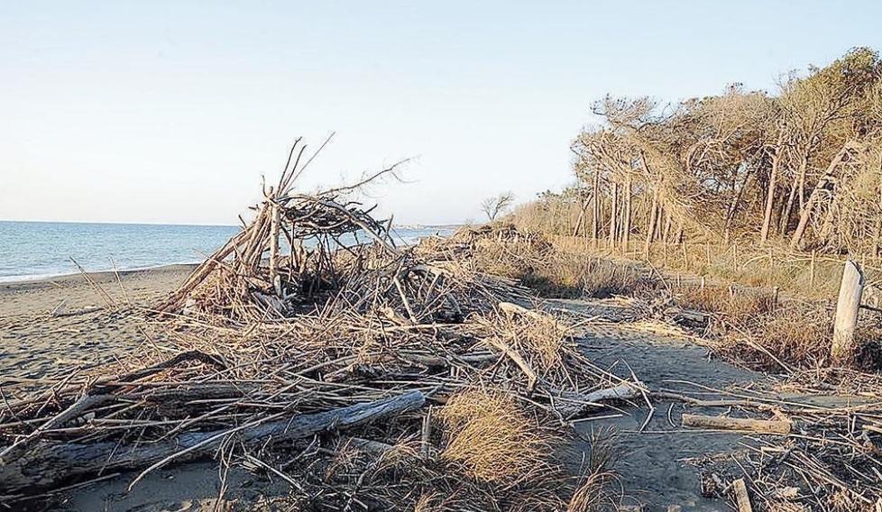Una spiaggia lungo la costa a Marina di Bibbona