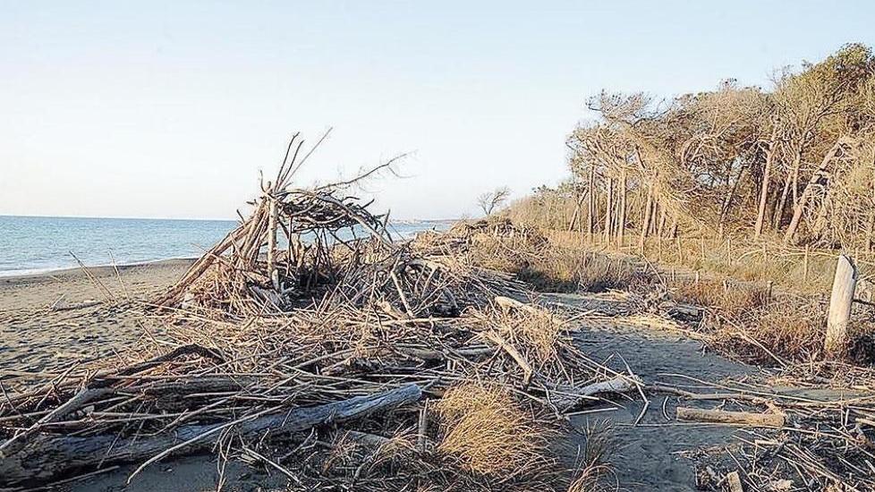 Una spiaggia lungo la costa a Marina di Bibbona