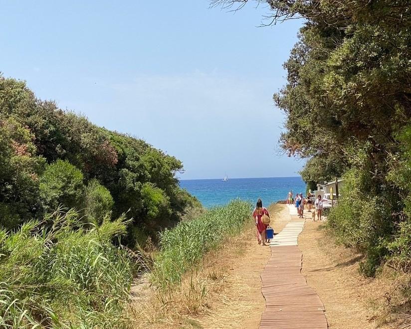  Dog beach aggiudicata al gestore di sempre Stagione al via domani con divieto di tuffi 
