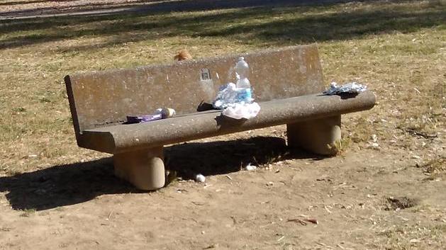 Degrado nel parco «È pericoloso e diseducativo»