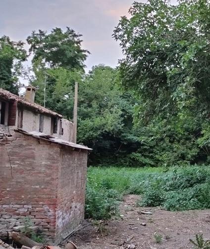Ex “Casa dei Polli” Bonifica completata