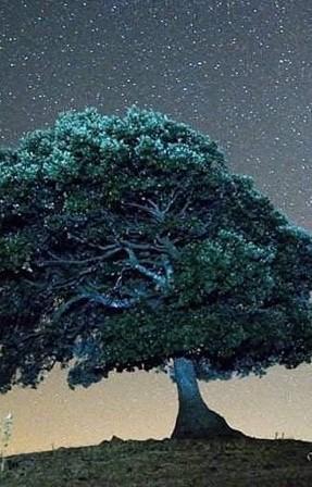 Allai, occhi al cielo per promuovere un nuovo turismo