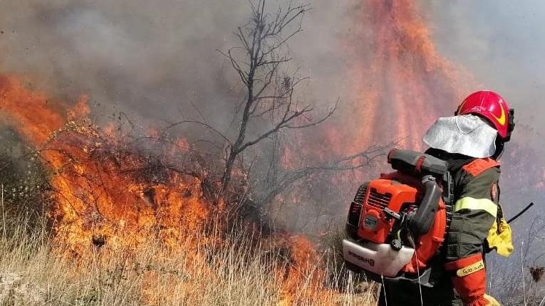 Ordinanza del Comune, pulizia dei terreni entro il 30