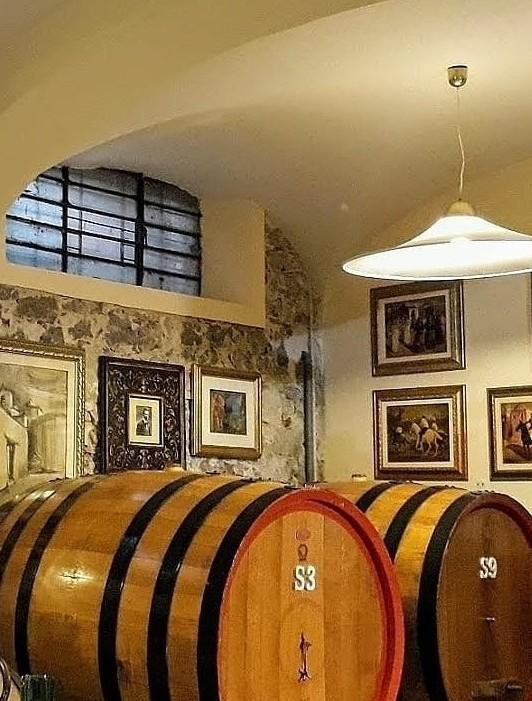 Confronto su “Vino e neuroscienze” 