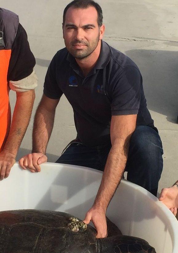 La tartaruga salvata a Cala Gonone tornerà in mare aperto tra un mese