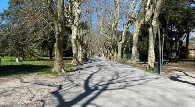 Apre il Teatro Estate in Pineta di ponente