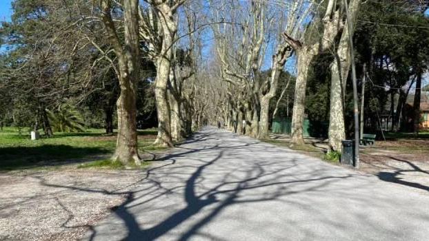 Apre il Teatro Estate in Pineta di ponente