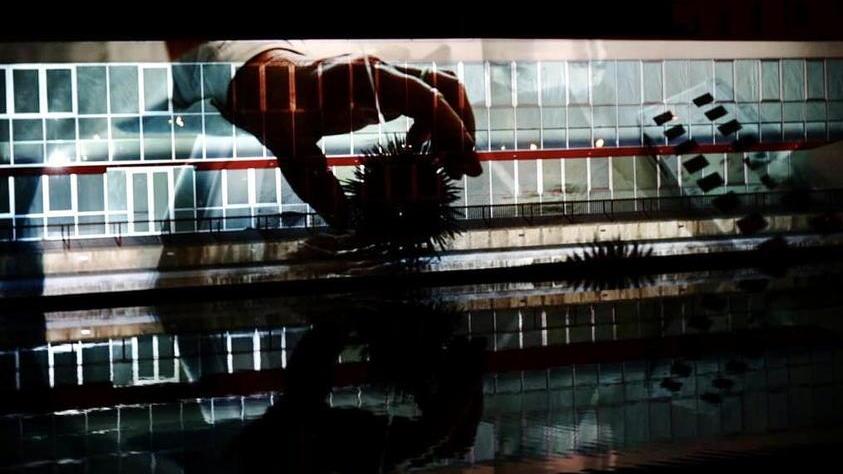 Luci e acqua sulla Dogana Il videoshow di Immersiva