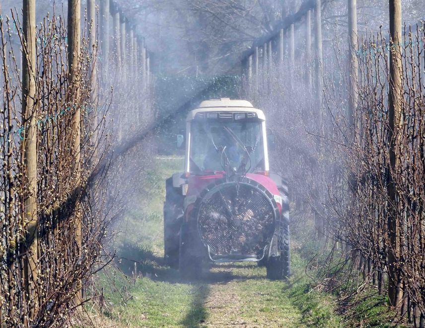 Progetto di Unife per ottenere fitofarmaci più sani 