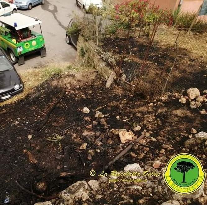Incendio a Lividonia Abitanti fermano il fuoco in attesa dei soccorsi