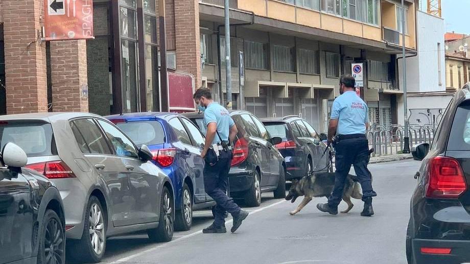 Vigili schierati anche con i cani