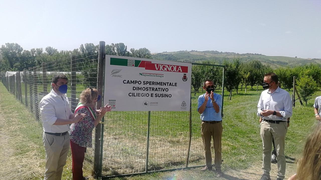 Vignola, Ricerca innovativa in difesa delle ciliegie