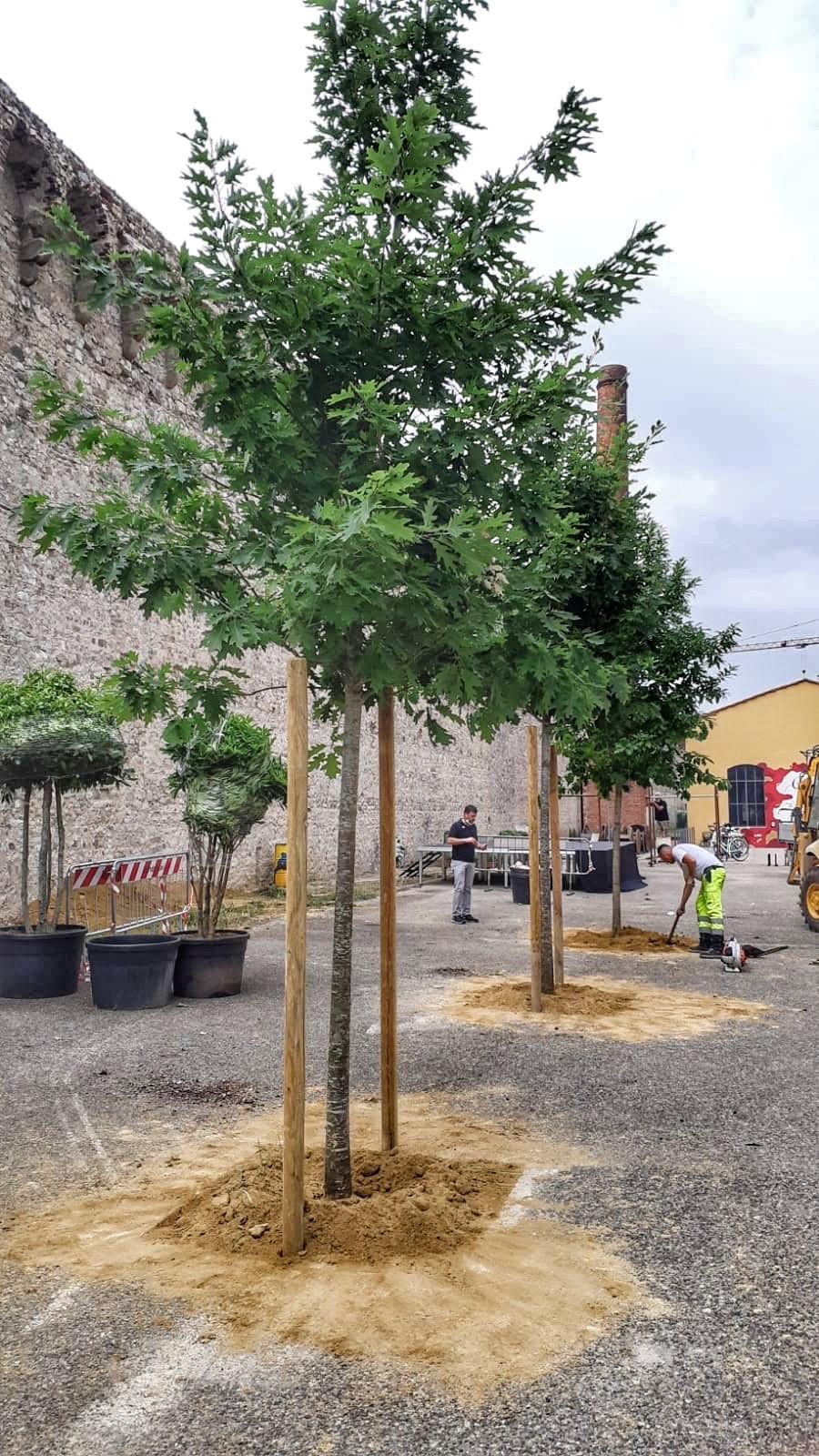I lavori per la realizzazione del "giardino"