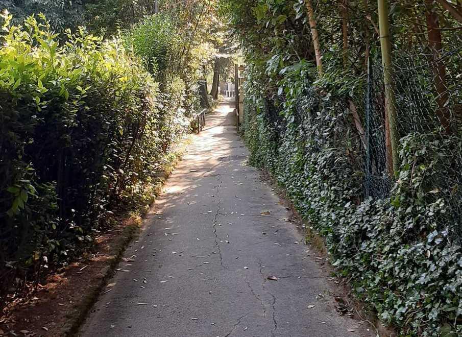 Chiede di potare le piante e le Terme intervengono